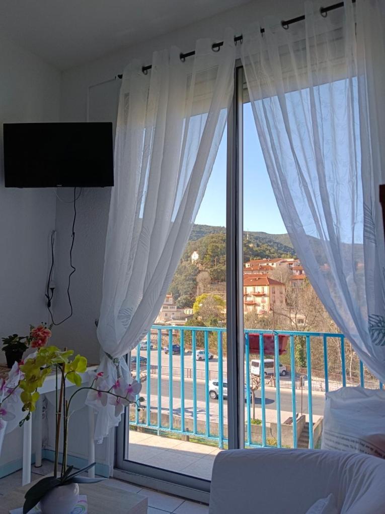 Appartamento christiane cere Amélie-les-Bains-Palalda Esterno foto